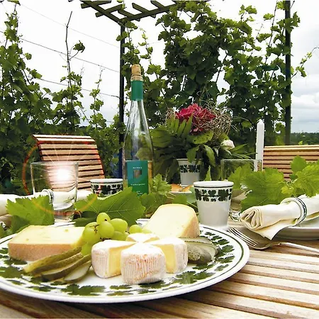 Weingut Mariaberg Meissen