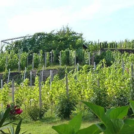 Weingut Mariaberg Apartment