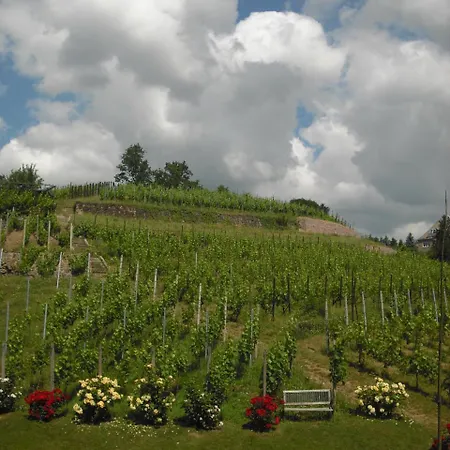 Weingut Mariaberg Apartment Meissen