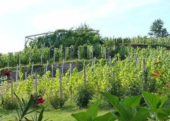 Weingut Mariaberg Apartment