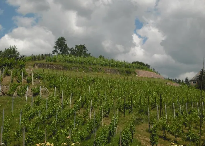 Weingut Mariaberg Apartment Meissen